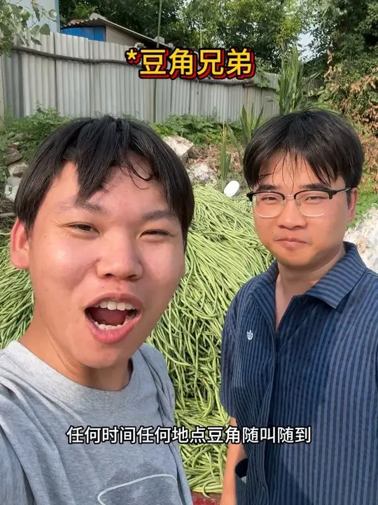 又又又到了河南人吃豆角的时候了